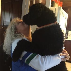 Meet your Posher, Mmelissa